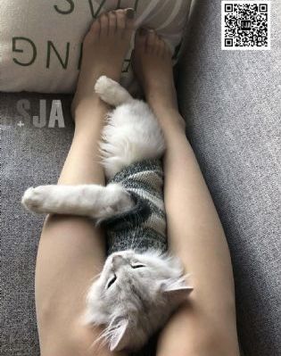 日本精品免费在线观看_高清完整版观看