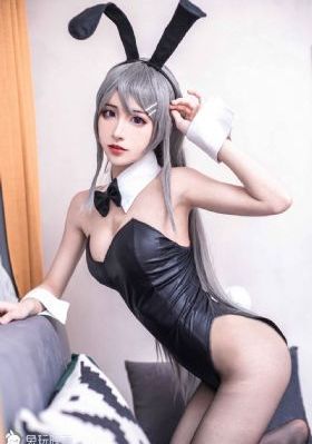 警花与警犬电视剧免费观看完整版_蓝光电视剧在线观看