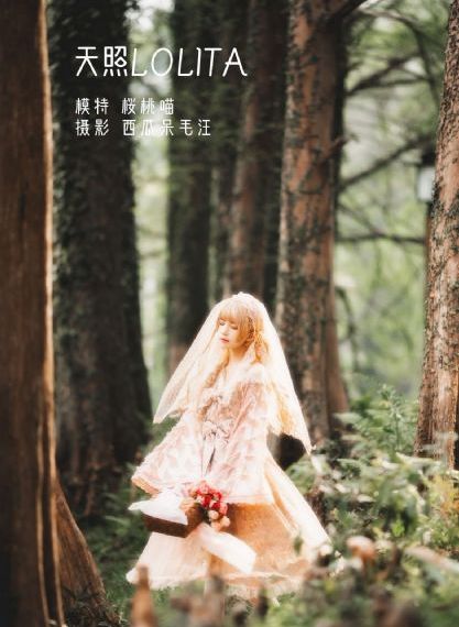美味的姨母免费观看_BD完整在线观看